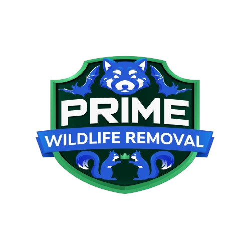 Wildlife Removal Ottawa Hills